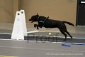IMG_2158