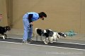 IMG_2196