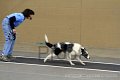 IMG_2197