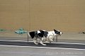 IMG_2198