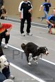 IMG_2210