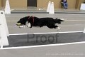 IMG_2281