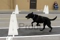 IMG_2297