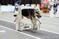 IMG_2331