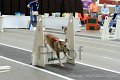 IMG_2335