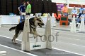 IMG_2339
