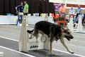 IMG_2340