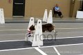 IMG_2374
