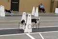 IMG_2379