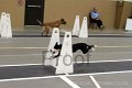 IMG_2383
