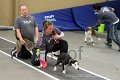 IMG_2400