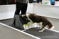 IMG_2411