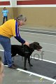 IMG_2455