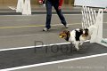 IMG_2477