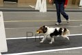 IMG_2478