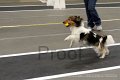 IMG_2485