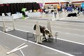 IMG_2504