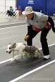 IMG_2552