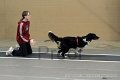 IMG_2563