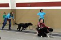 IMG_2570