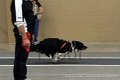 IMG_2582