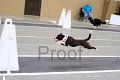 IMG_2604