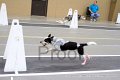 IMG_2607