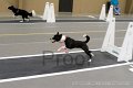 IMG_2637