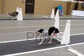 IMG_2640