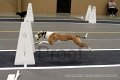 IMG_2651