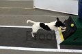 IMG_2684