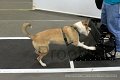 IMG_2706
