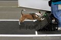 IMG_2721