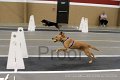 IMG_2793