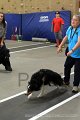 IMG_2830