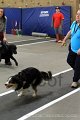 IMG_2831