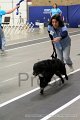 IMG_2854