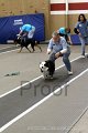 IMG_2859