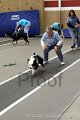 IMG_2860