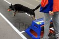IMG_2870