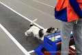 IMG_2875