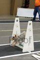 IMG_2913