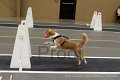 IMG_2919