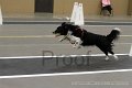 IMG_2946
