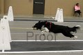 IMG_2959