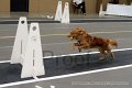 IMG_2970