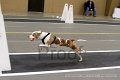 IMG_3042