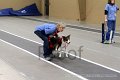 IMG_3082