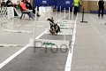 IMG_3101
