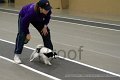 IMG_3169